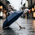 folding umbrella 2026 梅雨も春の外出も。毎日持ち歩きたい折りたたみ傘10本