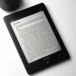ebook reader 毎日使うなら質が正義。電子書籍リーダー9選