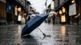 folding umbrella 2026 梅雨も春の外出も。毎日持ち歩きたい折りたたみ傘10本